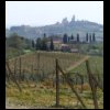 San Gimignano med vinodling i förgrunden